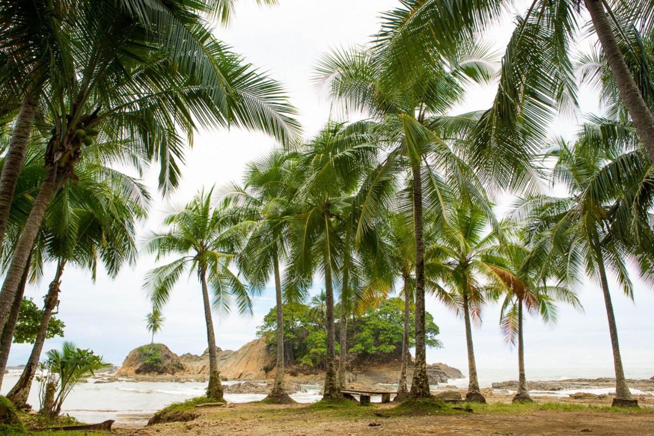 Pacific Edge Eco Lodge Доминикаль Экстерьер фото