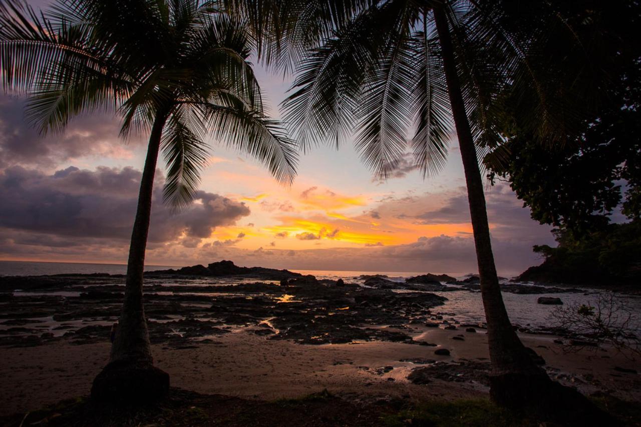 Pacific Edge Eco Lodge Доминикаль Экстерьер фото