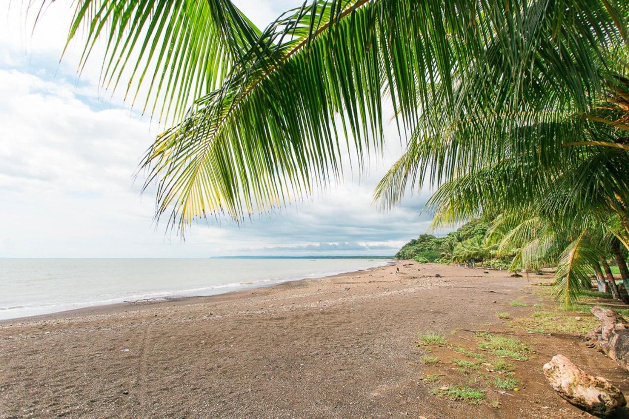 Pacific Edge Eco Lodge Доминикаль Экстерьер фото
