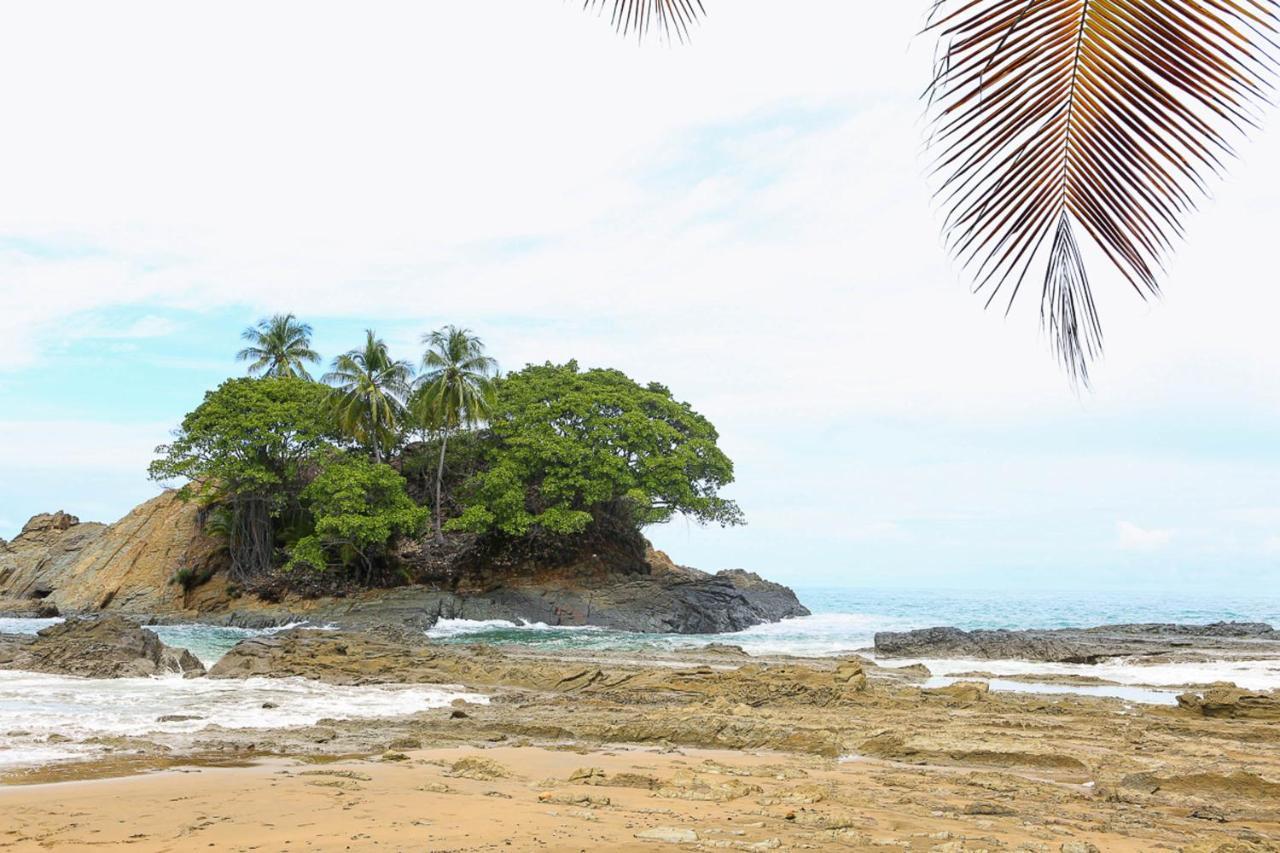 Pacific Edge Eco Lodge Доминикаль Экстерьер фото