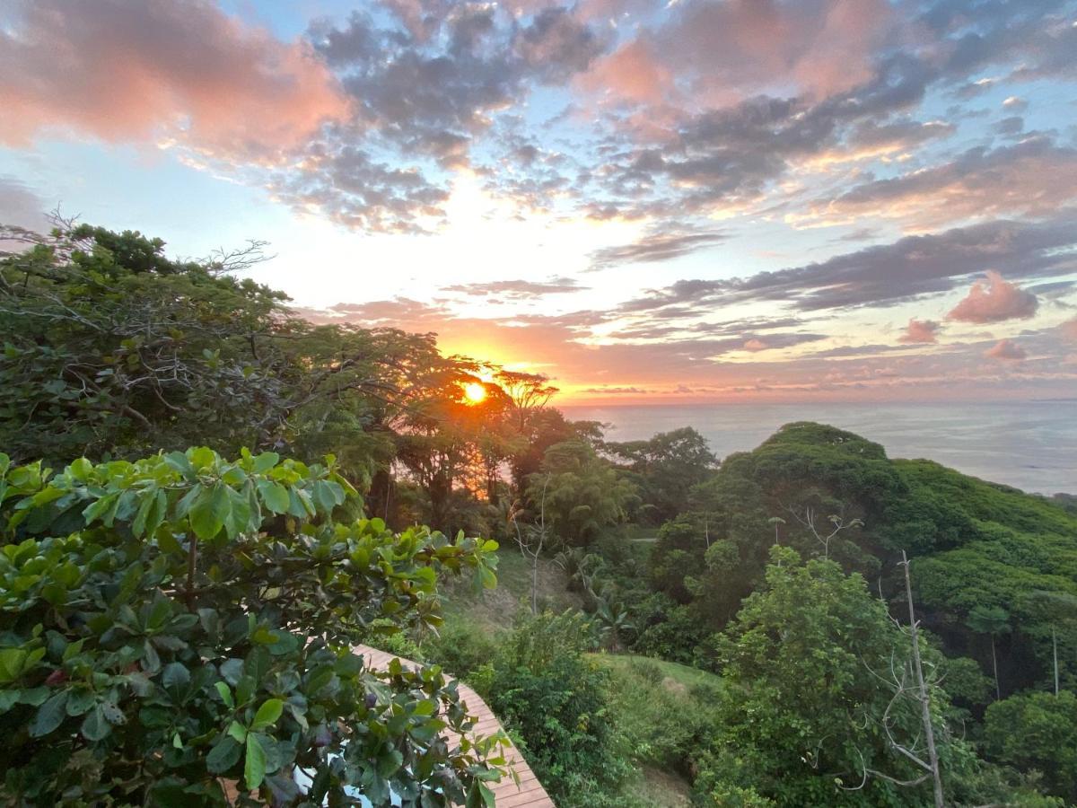 Pacific Edge Eco Lodge Доминикаль Экстерьер фото