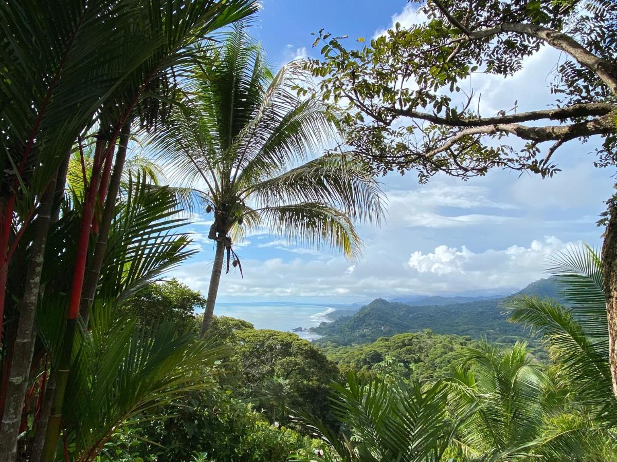 Pacific Edge Eco Lodge Доминикаль Экстерьер фото