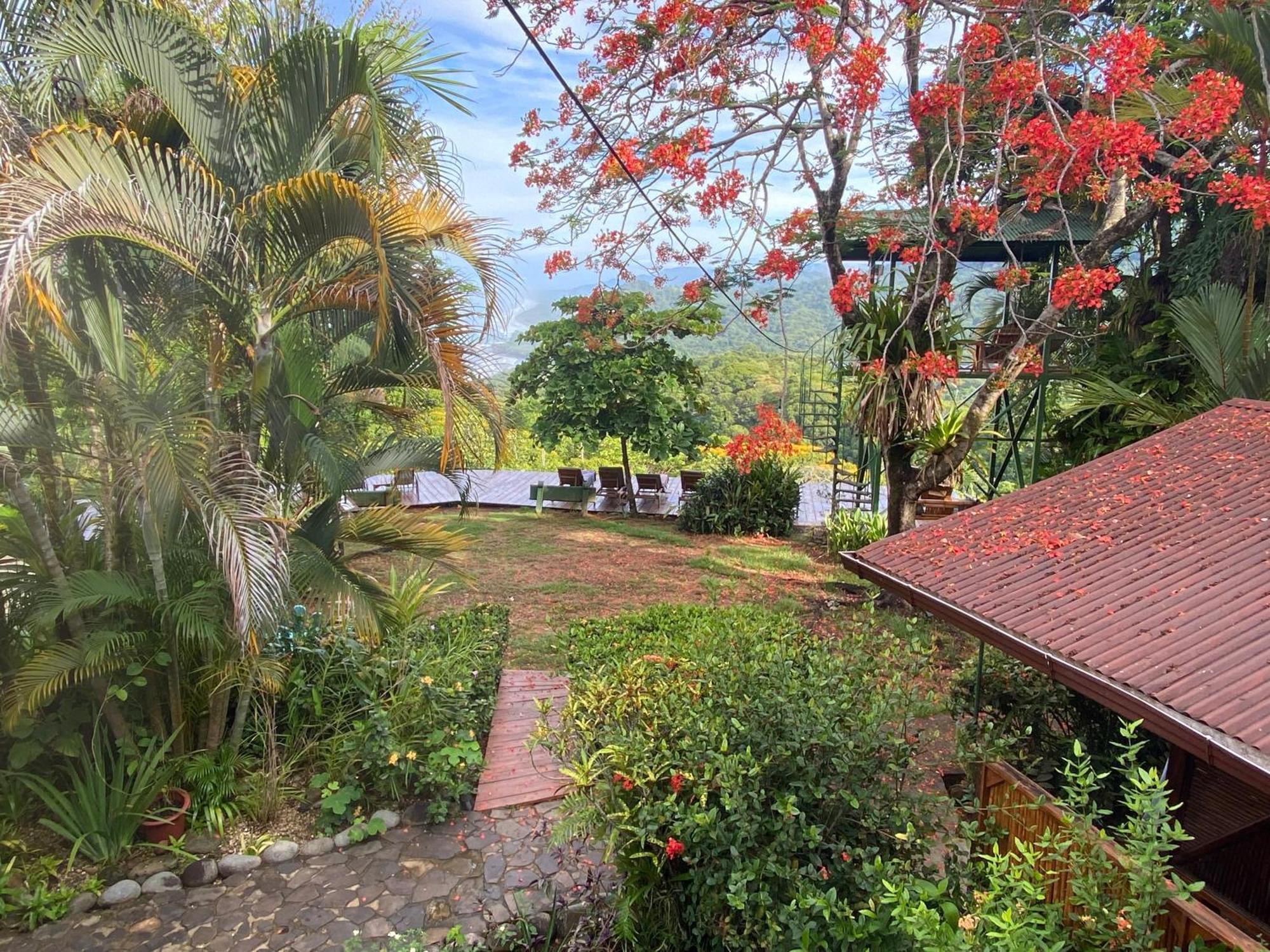 Pacific Edge Eco Lodge Доминикаль Экстерьер фото