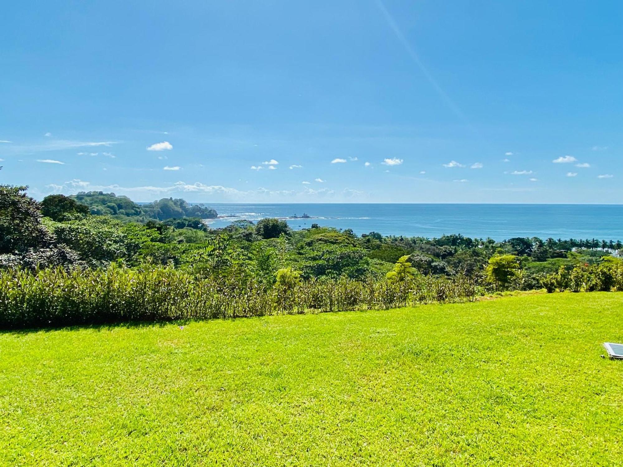 Pacific Edge Eco Lodge Доминикаль Номер фото